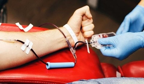 Chàng trai đột tử, bố xem giấy tờ phát hiện con hiến máu 16 lần trong 8 tháng- Ảnh 1. Chàng trai đột tử, bố xem giấy tờ phát hiện con hiến máu 16 lần trong 8 tháng- Ảnh 1.