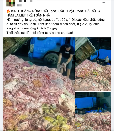 Kinh hoàng hình ảnh lòng lợn đổ đống ra sàn: 2 dấu hiệu cảnh báo lòng lợn bẩn, chớ có ăn- Ảnh 1. Kinh hoàng hình ảnh lòng lợn đổ đống ra sàn: 2 dấu hiệu cảnh báo lòng lợn bẩn, chớ có ăn- Ảnh 1.