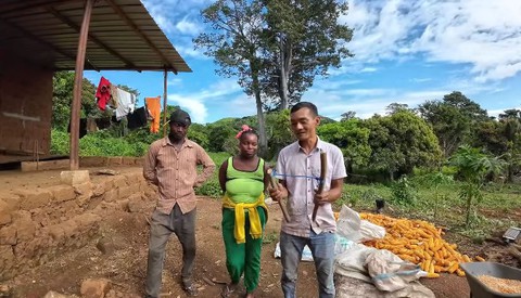 Lúa nương Việt Nam trĩu hạt trên rẫy châu Phi: Chỉ người giàu dám ăn, trồng 2 năm mới có thành quả- Ảnh 1. Lúa nương Việt Nam trĩu hạt trên rẫy châu Phi: Chỉ người giàu dám ăn, trồng 2 năm mới có thành quả- Ảnh 1.