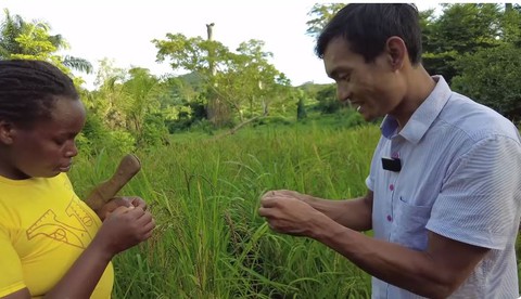 Lúa nương Việt Nam trĩu hạt trên rẫy châu Phi: Chỉ người giàu dám ăn, trồng 2 năm mới có thành quả- Ảnh 2. Lúa nương Việt Nam trĩu hạt trên rẫy châu Phi: Chỉ người giàu dám ăn, trồng 2 năm mới có thành quả- Ảnh 2.