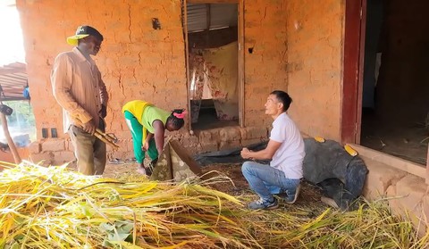 Lúa nương Việt Nam trĩu hạt trên rẫy châu Phi: Chỉ người giàu dám ăn, trồng 2 năm mới có thành quả- Ảnh 5. Lúa nương Việt Nam trĩu hạt trên rẫy châu Phi: Chỉ người giàu dám ăn, trồng 2 năm mới có thành quả- Ảnh 5.