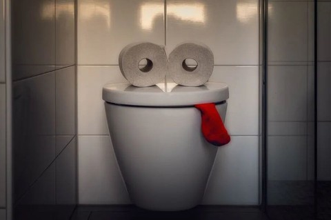 Cô gái trẻ nổi cáu vì hàng xóm xả toilet 100 lần/ngày: Lên Cô gái trẻ nổi cáu vì hàng xóm xả toilet 100 lần/ngày: Lên
