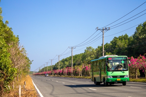 Ngắm con đường xuyên rừng đẹp như mơ, kết nối TP.HCM với siêu dự án ven biển trị giá 217.000 tỷ của Vingroup- Ảnh 7. Ngắm con đường xuyên rừng đẹp như mơ, kết nối TP.HCM với siêu dự án ven biển trị giá 217.000 tỷ của Vingroup- Ảnh 7.