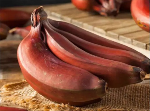 1 loại quả ngọt mát là 1 loại quả ngọt mát là