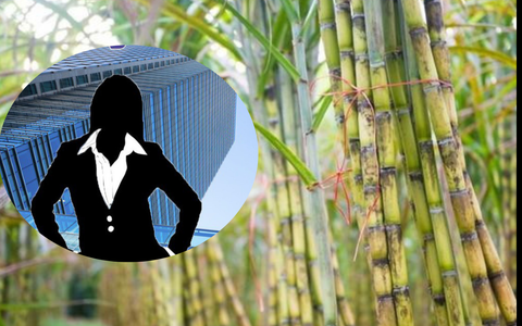 Chân dung cụ bà lớn tuổi nhất trên sàn chứng khoán Việt, cổ đông lớn của một loạt doanh nghiệp nổi tiếng