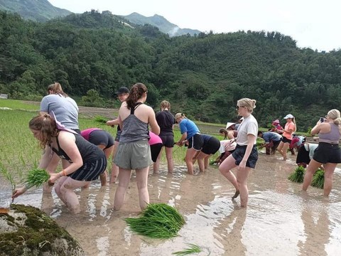 Khách Tây lội ruộng cấy lúa ở Sa Pa, tối về khen cơm ngon nức nở: "Thế mới hiểu giá trị hạt gạo"- Ảnh 3. Khách Tây lội ruộng cấy lúa ở Sa Pa, tối về khen cơm ngon nức nở: "Thế mới hiểu giá trị hạt gạo"- Ảnh 3.