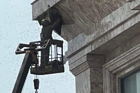 Khách sạn phá tổ ong, 2 trẻ bị ong đốt phải nhập viện cấp cứu- Ảnh 1.