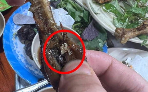 Kinh hãi "cả gia đình" giòi bò ngoe nguẩy trong chiếc chân gà ở quán ốc- Ảnh 1. Kinh hãi "cả gia đình" giòi bò ngoe nguẩy trong chiếc chân gà ở quán ốc- Ảnh 1.