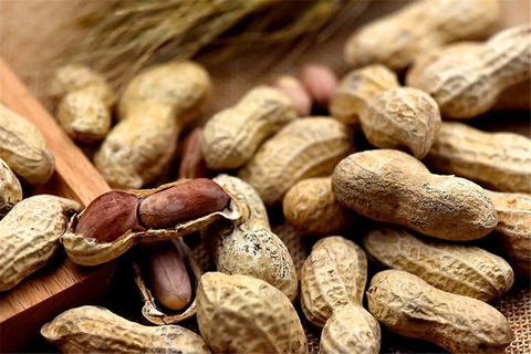 Không có tiêu đề Không có tiêu đề