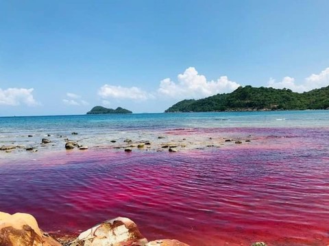 Cảnh tượng chưa từng có xuất hiện ở biển Phú Quốc từ trưa qua đến hôm nay- Ảnh 1. Cảnh tượng chưa từng có xuất hiện ở biển Phú Quốc từ trưa qua đến hôm nay- Ảnh 1.