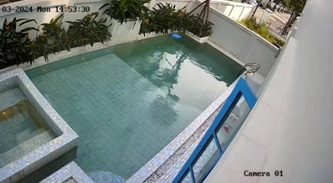 Em trai bị ngã xuống hồ cá, cô chị phản ứng cực nhanh trong 10 giây: "Đau tim" tới phút cuối cùng- Ảnh 1. Em trai bị ngã xuống hồ cá, cô chị phản ứng cực nhanh trong 10 giây: "Đau tim" tới phút cuối cùng- Ảnh 1.