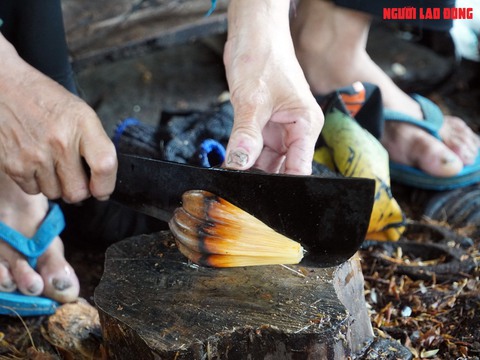 Loại trái từng bỏ đi, giờ đem về tiền triệu cho người miền Tây- Ảnh 15. Loại trái từng bỏ đi, giờ đem về tiền triệu cho người miền Tây- Ảnh 15.