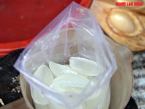 Loại trái từng bỏ đi, giờ đem về tiền triệu cho người miền Tây- Ảnh 17. Loại trái từng bỏ đi, giờ đem về tiền triệu cho người miền Tây- Ảnh 17.