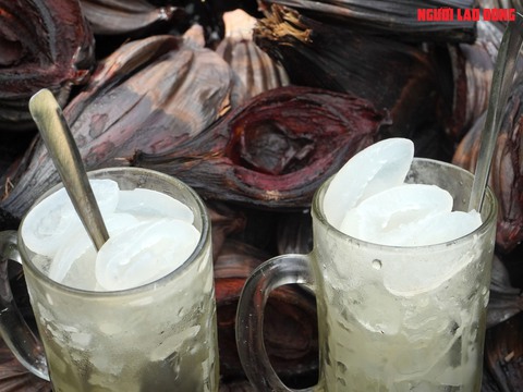 Loại trái từng bỏ đi, giờ đem về tiền triệu cho người miền Tây- Ảnh 18. Loại trái từng bỏ đi, giờ đem về tiền triệu cho người miền Tây- Ảnh 18.