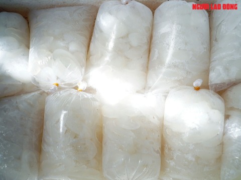 Loại trái từng bỏ đi, giờ đem về tiền triệu cho người miền Tây- Ảnh 19. Loại trái từng bỏ đi, giờ đem về tiền triệu cho người miền Tây- Ảnh 19.