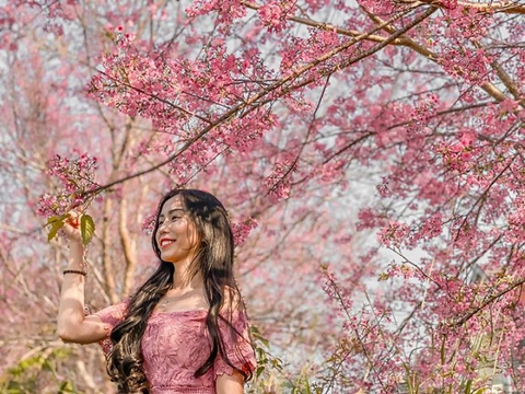 1 địa phương phía Bắc lọt top 45/50 điểm du lịch đẹp nhất thế giới: Cảnh đẹp bình dị mà tuyệt mỹ, hút hơn 1,9 triệu lượt khách từ đầu năm- Ảnh 3. 1 địa phương phía Bắc lọt top 45/50 điểm du lịch đẹp nhất thế giới: Cảnh đẹp bình dị mà tuyệt mỹ, hút hơn 1,9 triệu lượt khách từ đầu năm- Ảnh 3.