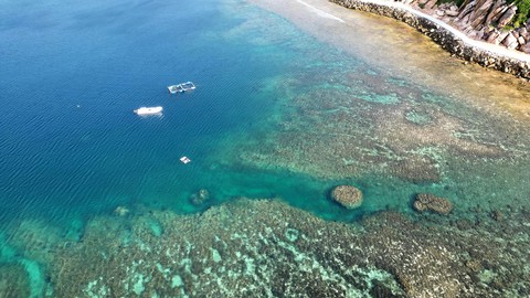 Phát hiện bãi biển hoang sơ gần Nha Trang, được ví như "nàng tiên ngủ quên", nhiều người chưa hề nghe tên- Ảnh 4. Phát hiện bãi biển hoang sơ gần Nha Trang, được ví như "nàng tiên ngủ quên", nhiều người chưa hề nghe tên- Ảnh 4.