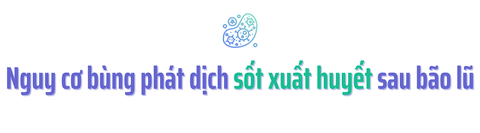 Hơn 200 người trong vùng ngập lụt ở Hà Nội cùng mắc một loại bệnh, Bộ Y Tế cảnh báo bùng dịch: Tiến sĩ chỉ ra 1 thói quen có thể là nguồn cơn gây bệnh- Ảnh 1.