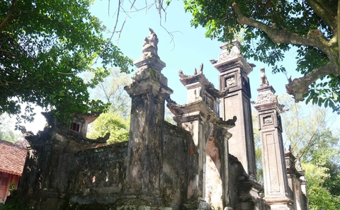 Nơi được ví như thảo nguyên nước ngoài ở Nghệ An, cách thành phố chỉ hơn 10km, vừa hoang dã vừa thơ mộng- Ảnh 13. Nơi được ví như thảo nguyên nước ngoài ở Nghệ An, cách thành phố chỉ hơn 10km, vừa hoang dã vừa thơ mộng- Ảnh 13.