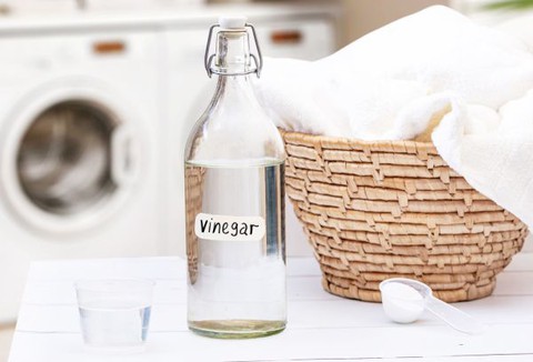 Thứ rẻ tiền nhà nào cũng sẵn trong bếp, được ví như "bảo bối giặt giũ": Dùng được cả giặt máy và giặt tay- Ảnh 1. Thứ rẻ tiền nhà nào cũng sẵn trong bếp, được ví như "bảo bối giặt giũ": Dùng được cả giặt máy và giặt tay- Ảnh 1.