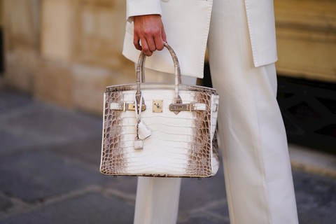 3. Chiếc Túi Hermes Birkin Himalayan Crocodile: Biểu tượng Địa Vị Và Quyền Lực.