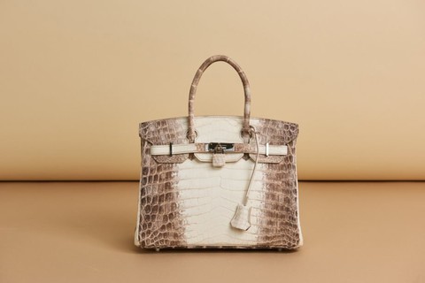 2. Chiếc Túi Hermes Birkin Himalayan Crocodile: Biểu tượng Địa Vị Và Quyền Lực.