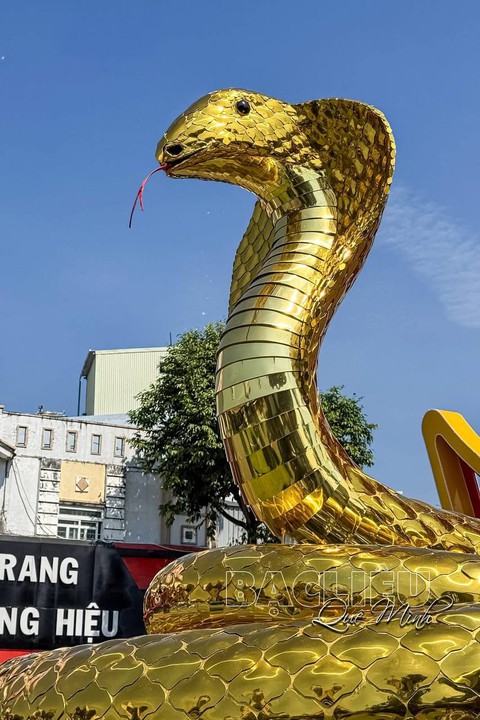 Cuộc đua linh vật rắn 2025: Kim xà quyền uy, "bé Na tẻn tẻn" chiếm sóng mạng xã hội - Ảnh 4. Cuộc đua linh vật rắn 2025: Kim xà quyền uy, "bé Na tẻn tẻn" chiếm sóng mạng xã hội - Ảnh 4.
