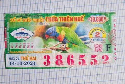 Một sở có 27 công chức, người lao động xin nghỉ hưu trước tuổi - Ảnh 2.