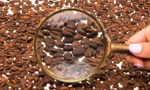 Tìm ra bằng chứng mới về mối liên hệ giữa cà phê và bệnh tiểu đường- Ảnh 3.