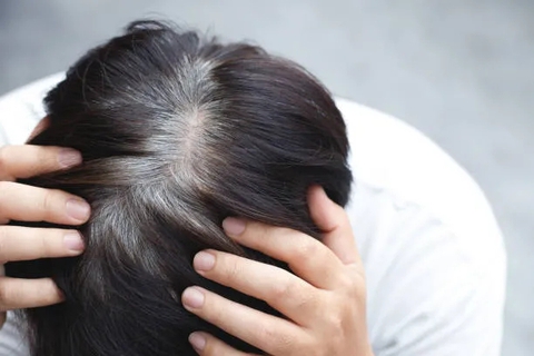 Thứ lá mọc đầy vườn, ai ngờ là 'thần dược' ngăn tóc bạc sớm- Ảnh 1.