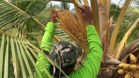 Đề xuất mở rộng sân bay của thành phố Việt Nam đăng cai APEC 2027 - Ảnh 5.
