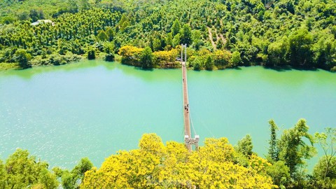 Địa điểm ngắm loài hoa gốc Brazil nở ra đẹp như mây ở Việt Nam: Ngoài Tu viện Bát Nhã chỉ 4 nơi này có!- Ảnh 7. Địa điểm ngắm loài hoa gốc Brazil nở ra đẹp như mây ở Việt Nam: Ngoài Tu viện Bát Nhã chỉ 4 nơi này có!- Ảnh 7.
