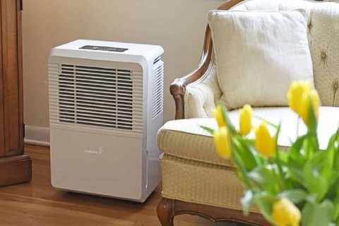 Chọn điều hòa hay máy hút ẩm để chống nồm ẩm hiệu quả? - Ảnh 2. Chọn điều hòa hay máy hút ẩm để chống nồm ẩm hiệu quả? - Ảnh 2.