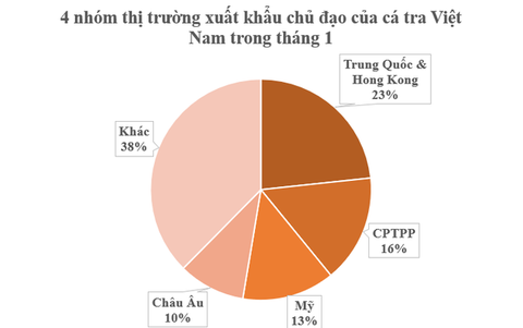 Một loại cá người Việt thu hoạch 1,6 triệu tấn/năm, xuất khẩu đứng đầu thế giới: Thu hơn 100 triệu USD kể từ đầu năm, Mỹ, Trung Quốc liên tục tìm mua - Ảnh 1. Một loại cá người Việt thu hoạch 1,6 triệu tấn/năm, xuất khẩu đứng đầu thế giới: Thu hơn 100 triệu USD kể từ đầu năm, Mỹ, Trung Quốc liên tục tìm mua - Ảnh 1.