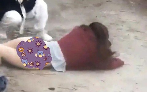 Tết qua mấy ngày, giới trẻ khắp nơi bất ngờ đổ xô lên Hà Giang tay lăm lăm cuốn sổ chỉ để "săn" thứ này - Ảnh 8.