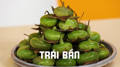 Khách Tây kinh ngạc trước 3 loại trái cây độc lạ của Việt Nam: Có người thốt lên, "Sao ăn được quả này?" - Ảnh 1.