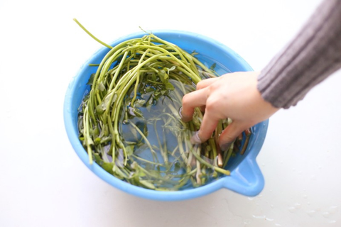 2 loại rau người Việt thích mê có thể là 