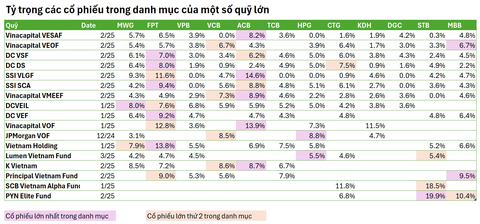 Mạnh tay bán FPT, các tay to trên thị trường đang đặt cược lớn vào “Cô đơn trên sofa” thay cho “Tái sinh”? - Ảnh 3. Mạnh tay bán FPT, các tay to trên thị trường đang đặt cược lớn vào “Cô đơn trên sofa” thay cho “Tái sinh”? - Ảnh 3.