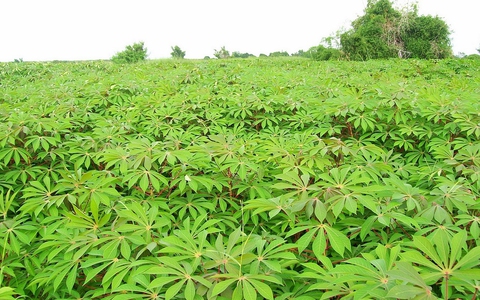 "Kỳ tích" của Việt Nam vừa được Thủ tướng gọi tên: Đỉnh cao gần 1,5 tỷ USD, xếp trên Luxembourg, Iceland - Ảnh 3.