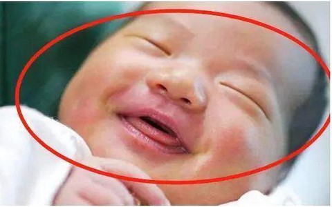 186.000 người rùng mình theo dõi cảnh nhóm du khách vùng vẫy tuyệt vọng khi rơi vào cảnh này trên biển - Ảnh 4.