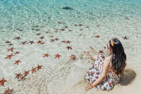 Báo Mỹ ca ngợi hết lời một hòn đảo là 'Hawaii Việt Nam': Thiên đường giá cả phải chăng nhất ở châu Á- Ảnh 3. Báo Mỹ ca ngợi hết lời một hòn đảo là 'Hawaii Việt Nam': Thiên đường giá cả phải chăng nhất ở châu Á- Ảnh 3.