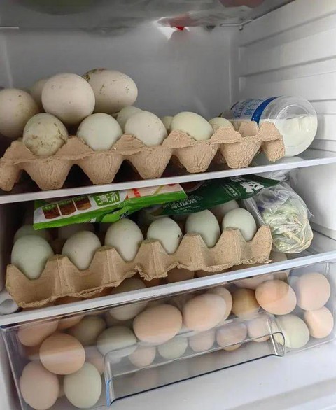 Tủ lạnh rộng mấy cũng đừng cho 7 thứ này vào, cho vào chẳng khác nào "xây khu bảo tồn vi khuẩn"!- Ảnh 1. Tủ lạnh rộng mấy cũng đừng cho 7 thứ này vào, cho vào chẳng khác nào "xây khu bảo tồn vi khuẩn"!- Ảnh 1.