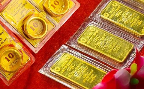 Việt Nam trồng được một loại ‘sản vật’ đắt đỏ thứ 3 thế giới: Mỹ, Hà Lan liên tục săn lùng, chỉ có rất ít quốc gia sở hữu - Ảnh 2.