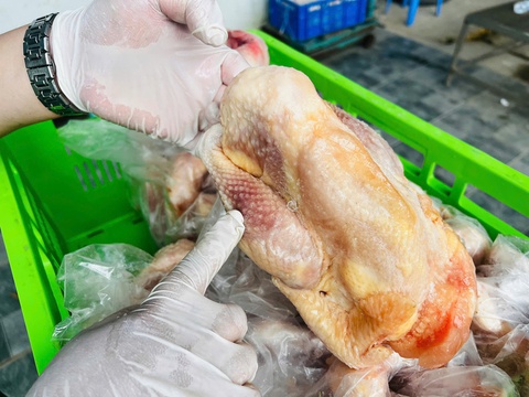 Công an Hà Nội phát hiện 20 tấn gà bẩn sắp tuồn ra chợ và nhà hàng - Ảnh 2. Công an Hà Nội phát hiện 20 tấn gà bẩn sắp tuồn ra chợ và nhà hàng - Ảnh 2.