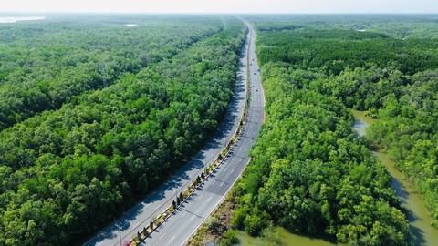 Được Thủ tướng giao làm dự án hơn 4 tỷ USD, tập đoàn của ông Phạm Nhật Vượng cam kết “tự lo toàn bộ vốn” - Ảnh 2. Được Thủ tướng giao làm dự án hơn 4 tỷ USD, tập đoàn của ông Phạm Nhật Vượng cam kết “tự lo toàn bộ vốn” - Ảnh 2.