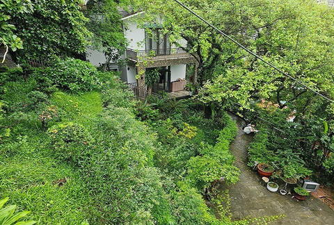 Vợ chồng giáo sư nghỉ hưu sống chậm trên đồi và những thực tế phũ phàng - Ảnh 3. Vợ chồng giáo sư nghỉ hưu sống chậm trên đồi và những thực tế phũ phàng - Ảnh 3.
