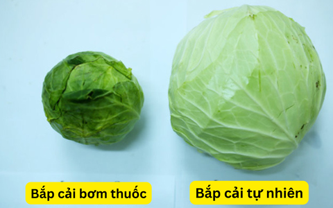 Bắp cải an toàn: Cách nhận biết rau sạch giữa thực phẩm bẩn - Ảnh 4. Bắp cải an toàn: Cách nhận biết rau sạch giữa thực phẩm bẩn - Ảnh 4.