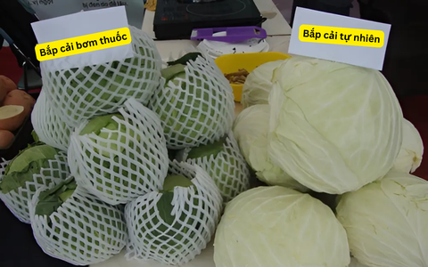Bắp cải an toàn: Cách nhận biết rau sạch giữa thực phẩm bẩn - Ảnh 3. Bắp cải an toàn: Cách nhận biết rau sạch giữa thực phẩm bẩn - Ảnh 3.