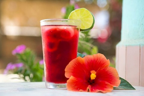 Thứ mọc dại ở Việt Nam chính là "thuốc" chống rụng tóc, dưỡng tóc đen mượt, kích thích mọc tóc con: Tận dụng còn hạ đường huyết hiệu quả- Ảnh 2. Thứ mọc dại ở Việt Nam chính là "thuốc" chống rụng tóc, dưỡng tóc đen mượt, kích thích mọc tóc con: Tận dụng còn hạ đường huyết hiệu quả- Ảnh 2.