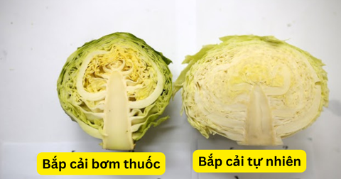 Bắp cải an toàn: Cách nhận biết rau sạch giữa thực phẩm bẩn - Ảnh 2. Bắp cải an toàn: Cách nhận biết rau sạch giữa thực phẩm bẩn - Ảnh 2.